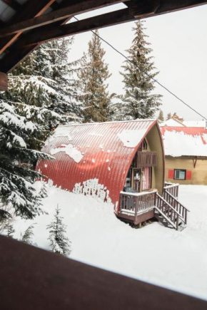 Red Shutter Cabin